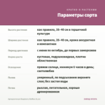 Аргирантемум Raspberry Ruffles (0,1л) — параметры сорта