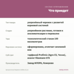 Аргирантемум Raspberry Ruffles (0,1л) — что приедет