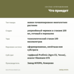 Аюга Princess Nadia 0,1л. — что приедет