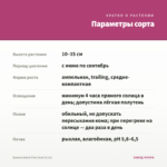 Бакопа Bahia Pink Sand (0,1л) — параметры сорта