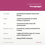 Бакопа Bahia Pink Sand (0,1л) — что приедет