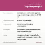 Бакопа Bahia Pink Sand (срезы/5шт) — параметры сорта