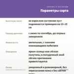 Бакопа BAHIA PURPLE SAND (0,1л) — параметры сорта