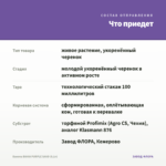 Бакопа BAHIA PURPLE SAND (0,1л) — что приедет