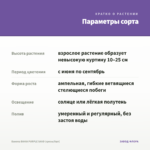 Бакопа BAHIA PURPLE SAND (срезы/5шт) — параметры сорта