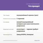 Бакопа BAHIA PURPLE SAND (срезы/5шт) — что приедет