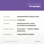 Бакопа BAHIA PURPLE SAND (срезы/5шт) — что приедет