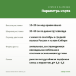 Бакопа BAHIA WHITE SAND (0,1л) — параметры сорта