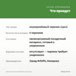 Бакопа Double Snowball White (срезы/5шт) — что приедет