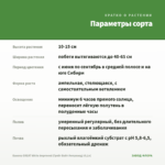 Бакопа GREAT White Improved (Грейт Вайт Импровед) (0,1л) — параметры сорта