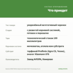 Бакопа GREAT White Improved (Грейт Вайт Импровед) (0,1л) — что приедет