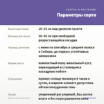 Бакопа Gulliver Blue (0,1л.) — параметры сорта