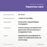 Бакопа Gulliver Blue (0,1л.) — параметры сорта