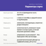Бакопа Gulliver Blue Sensation (0,1л) — параметры сорта
