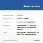 Бакопа Gulliver Blue Sensation (срез/5шт.) — параметры сорта