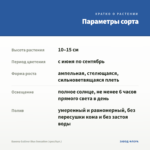 Бакопа Gulliver Blue Sensation (срез/5шт.) — параметры сорта