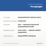 Бакопа Gulliver Blue Sensation (срез/5шт.) — что приедет