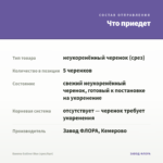Бакопа Gulliver Blue (срез/5шт) — что приедет