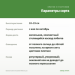 Бакопа Gulliver Dynamic White (0,1л) — параметры сорта