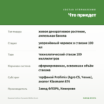 Бакопа Gulliver Dynamic White (0,1л) — что приедет