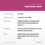 Бакопа Gulliver Pink Heart (0,1л) — параметры сорта
