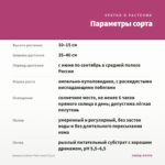 Бакопа Gulliver Pink Heart (0,1л) — параметры сорта