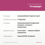 Бакопа Gulliver Pink Heart (срезы/5шт) — что приедет