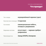 Бакопа Gulliver Pink Heart (срезы/5шт) — что приедет