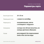 Бакопа Gulliver Pink (срезы/5шт) — параметры сорта