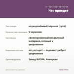 Бакопа Gulliver Pink (срезы/5шт) — что приедет