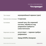 Бакопа Gulliver Pink (срезы/5шт) — что приедет