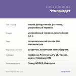Бакопа Megaсopa Blue (0,1л) — что приедет