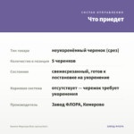 Бакопа Megaсopa Blue (срезы/5шт) — что приедет