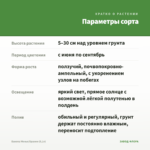Бакопа Монье/Брахми (0,1л) — параметры сорта