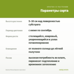 Бакопа Монье/Брахми (срез/5шт) — параметры сорта