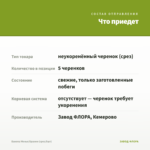 Бакопа Монье/Брахми (срез/5шт) — что приедет