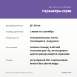 Бакопа Scopia Double Lavender (срезы/5шт) — параметры сорта