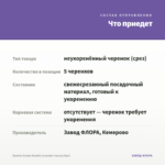 Бакопа Scopia Double Lavender (срезы/5шт) — что приедет