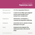 Бакопа Scopia Double Pink (0,1л) — параметры сорта