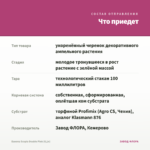 Бакопа Scopia Double Pink (0,1л) — что приедет