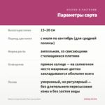 Бакопа Scopia Double Pink (срезы/5шт) — параметры сорта