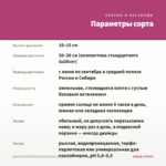 Бакопа SCOPIA GULLIVER BLUSH (срезы/5шт) — параметры сорта