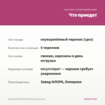 Бакопа SCOPIA GULLIVER BLUSH (срезы/5шт) — что приедет