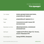 Бакопа Scopia White Golden Leaves (0,1л) — что приедет