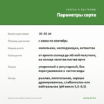 Бакопа Scopia White Golden Leaves (0,1л) — параметры сорта