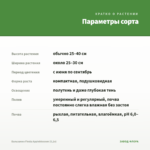 Бальзамин Fiesta Appleblossom (0,1л) — параметры сорта