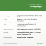 Бальзамин Fiesta Appleblossom (0,1л) — что приедет