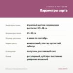 Бальзамин Fiesta Appleblossom (0,1л) — параметры сорта