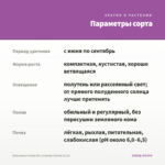 Бальзамин Fiesta Ole Lavander Orchid (0,1л) — параметры сорта