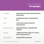 Бальзамин Fiesta Ole Lavander Orchid (0,1л) — что приедет